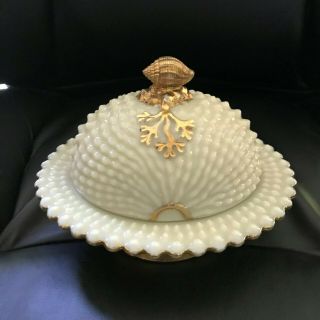 Antique Northwood Custard Glass Nautilus Aka Argonaut Shell Covered Butter Dish
